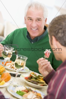 Father And Son At Christmas Dinner