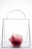Piggy Bank In A Bag