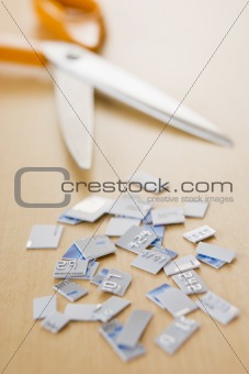 Credit Card In Pieces