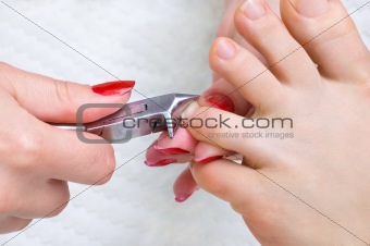 pedicure procedure, cutting toenails