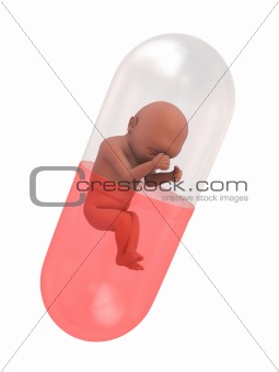 fetus capsule