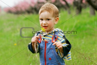 baby boy with dandelion portrait