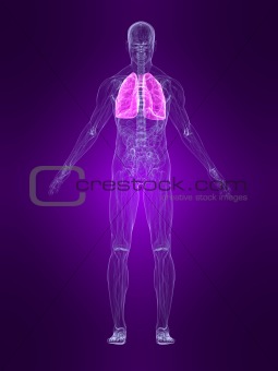 marked lung