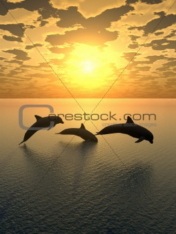 dolphin yellow sunset_2