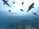 Flight of sharks