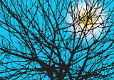 Tree Branches Silhouette With Sun On A Blue Sky