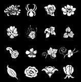 Floral Icon Set Series Design Elements