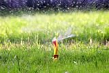 Water sprinkler on green lawn