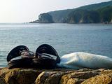 towel glasses and sandals against the seascape