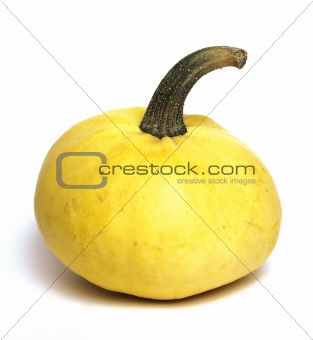 Little yellow pumpkin
