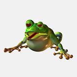 Toon Frog