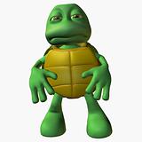 Turtle Boy -Bummer