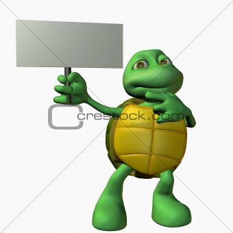 Turtle Boy -Look Here