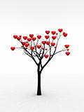 Single Tree With Love 6