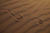 Desert Footprints
