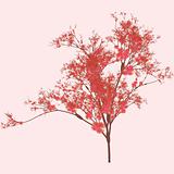 Cherry Tree Art