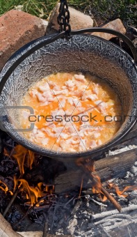 Outdoors cooked chicken stew