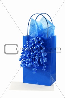 Gift bag with tissue paper and ribbon