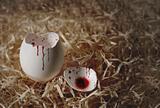 Dark series. Empty egg shell soiled with blood
