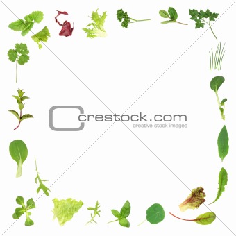Herb and Lettuce Leaf Border