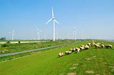 Windpark in East Frisia