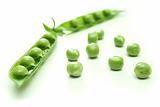Green pea pod and seeds