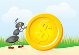 Ant and coin