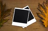 Polaroid frames over autumn background