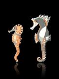 Handcrafted  Couple of Seahorses