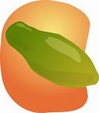 Papaya fruit illustration
