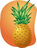 Pineapple fruit illustration