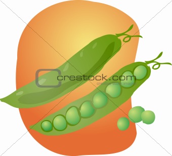 Peas illustration