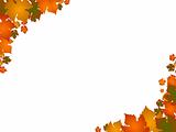 autumn leaf border