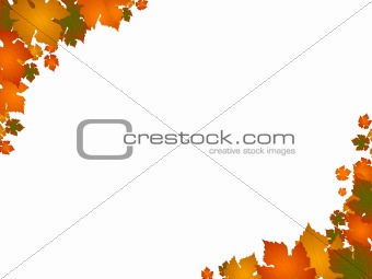 autumn leaf border