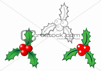Christmas holly over white