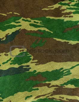 Camouflage texture