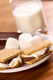 Smores and Milk with Narrow Depth of Field