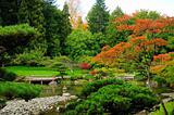 Assorted colors of the Japanese Garden