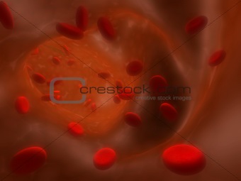 Many erythrocytes, floating on an artery