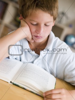 Young Boy Reading A Book In His Room