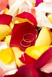 Wedding background: wedding rings on petals of roses.