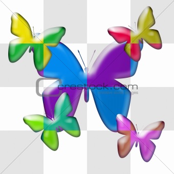 butterflies in dual colors