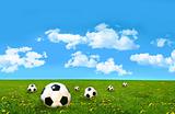 Soccer balls  in a field of tall grass