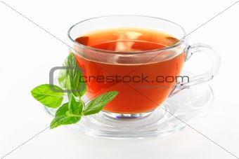Tea cup with mint leaves