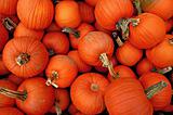 Pumpkin grouping