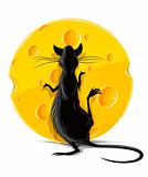 black rat eating yellow cheese vector illustration
