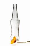 Empty beer bottle and flower beside it, isolated