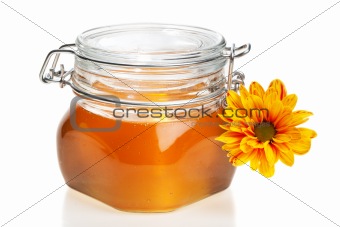 Honey jar, isolated