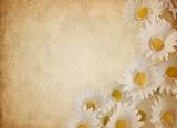 flower parchment