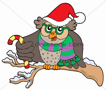 Owl in Christmas outfit